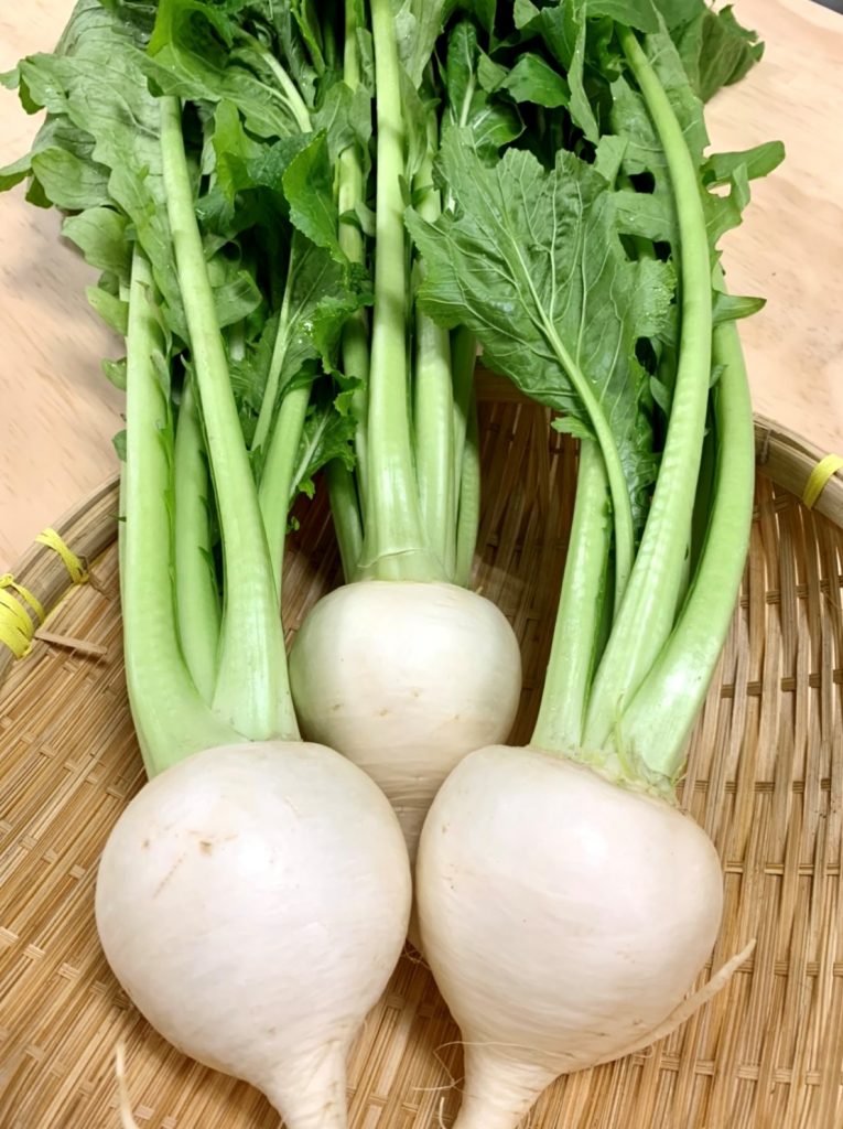 小蕪 公式 京野菜 錦 河一 料亭などの飲食店からご家庭の食卓まで