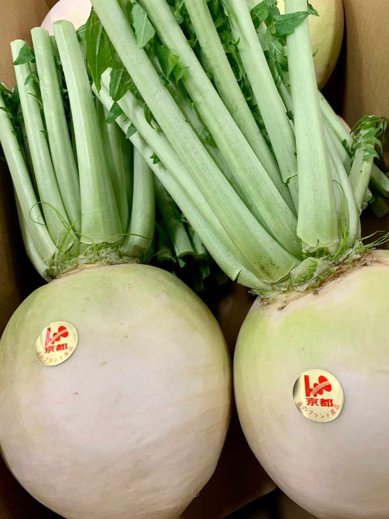 聖護院大根 公式 京野菜 錦 河一 料亭などの飲食店からご家庭の食卓まで